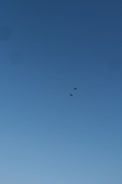 P3303422