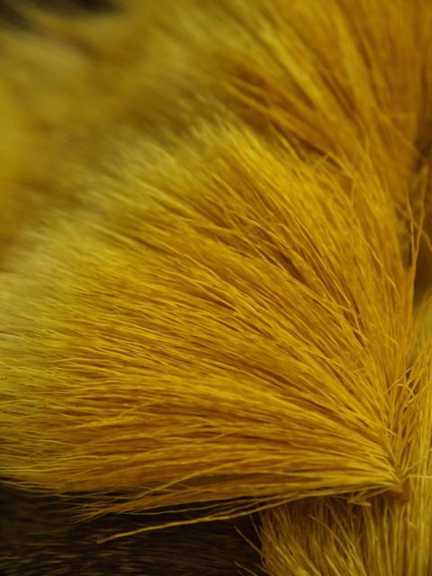 P2060571
