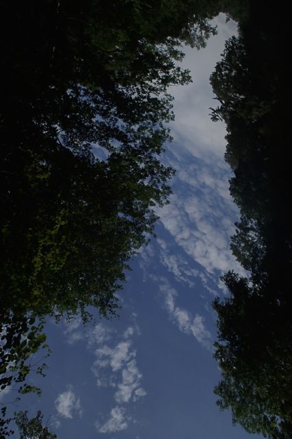 P8304727