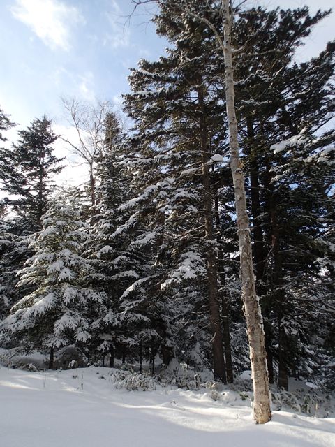P1040015