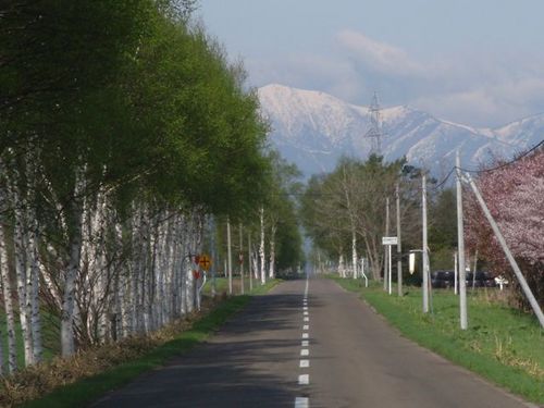 さくら咲く