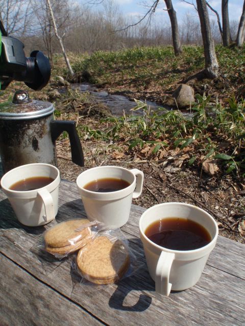 樹液コーヒー