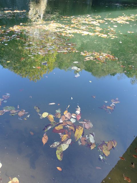 PA030069