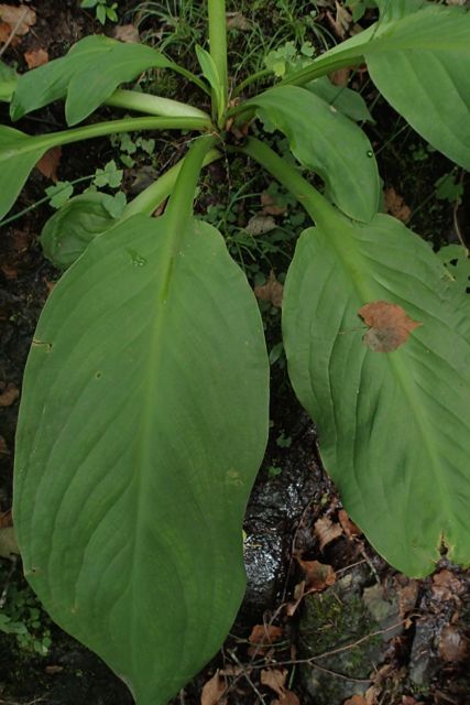 P8304709