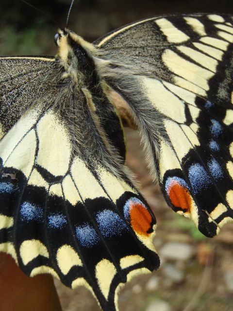 P8310044