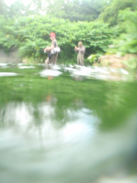 wakimizu