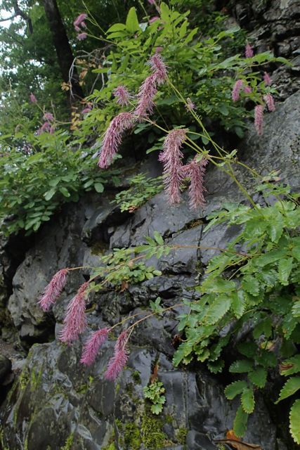 P8094838