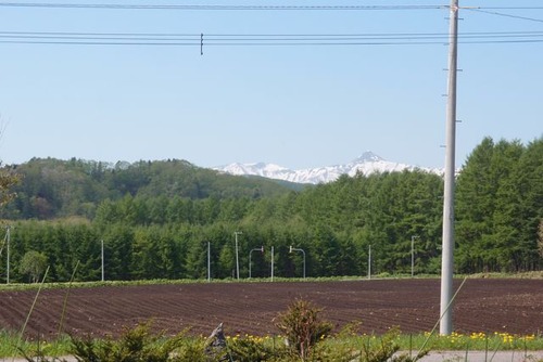 P5315882