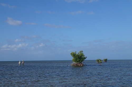 P2180599