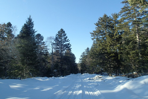 P2280032