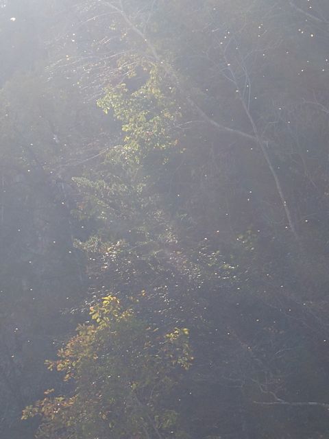 PA100104