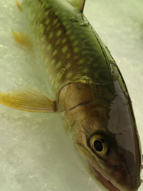 P1230026