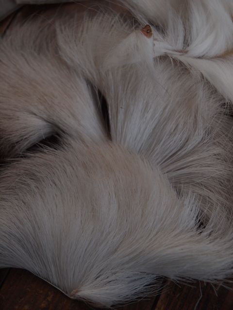 P2030450