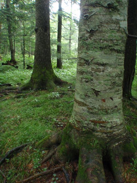 P9020068