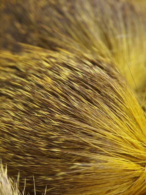 P2060570
