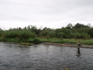 P9179918