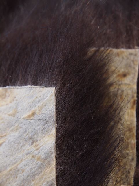 P2161558