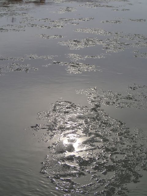 P1120031