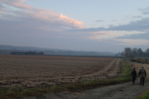 PA170230