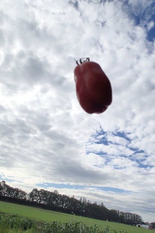 P9070011