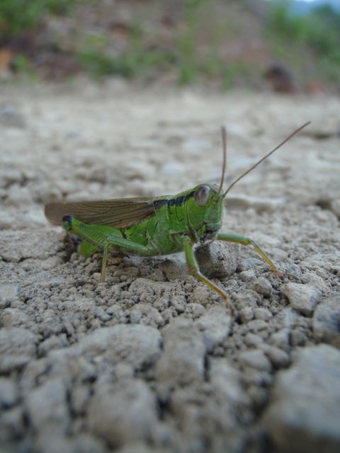 P8190037