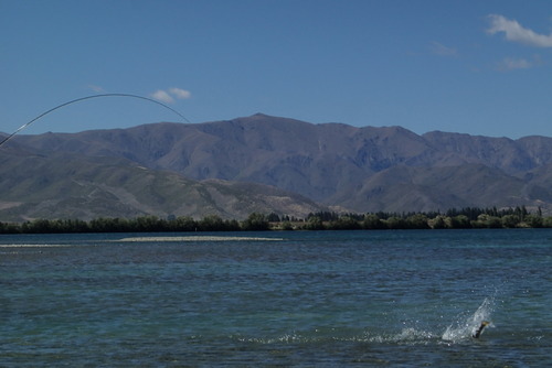 PC190656