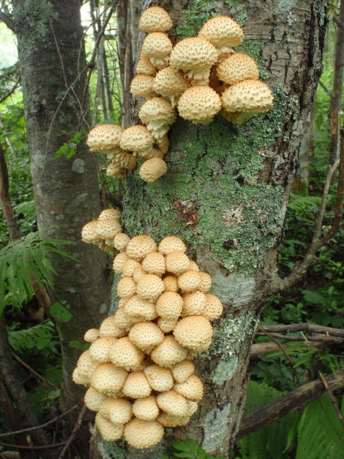 P8300004