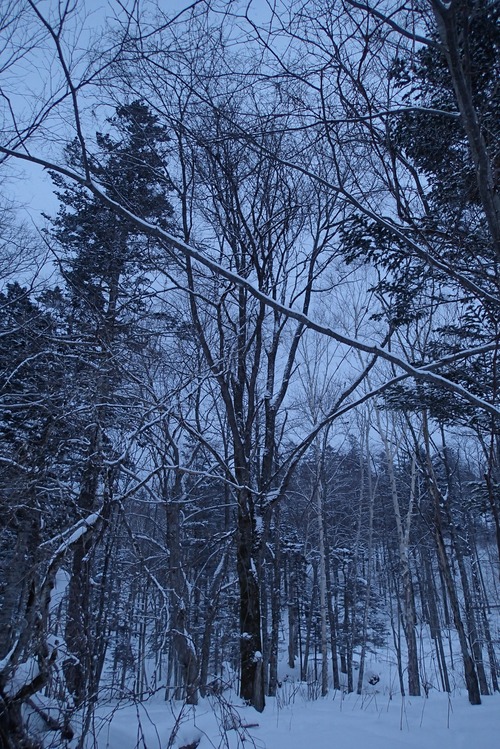 P1300226