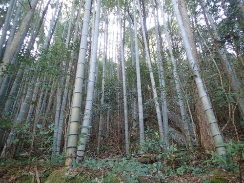 P2040150