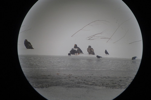 P1300193