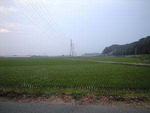 109e1362.JPG