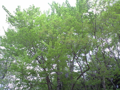 3238b100.jpg