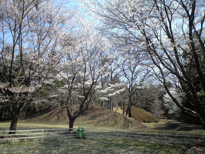5b06a34e.jpg