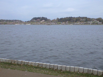 6e6f8cca.jpg
