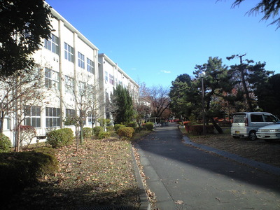876e96cf.jpg