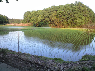 b7bd1699.jpg