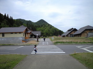 d1b2b241.JPG