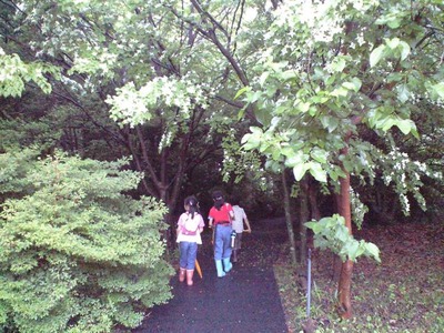 e0554022.jpg