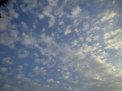 fcc77f35.jpg