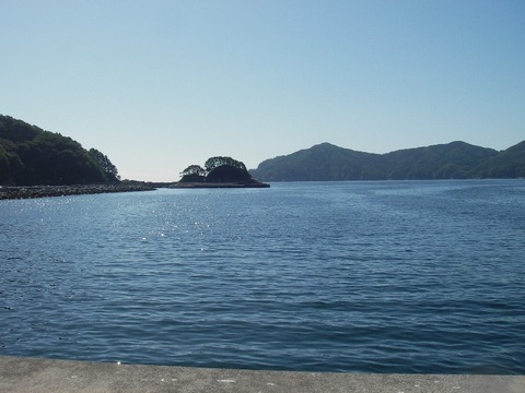 IMGP4987