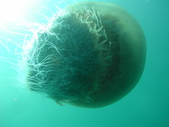 PC020081
