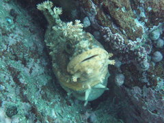 PB080048