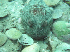 PB080085