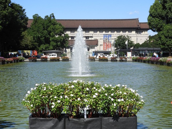 上野公園DSCN5566