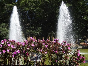 上野公園DSCN5568
