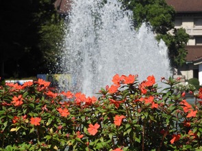 上野公園DSCN5565