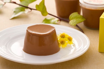 チョコプリン発売
