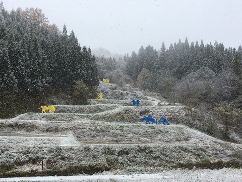 2017snow