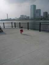 toyosu5