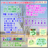 15ed0f56.gif